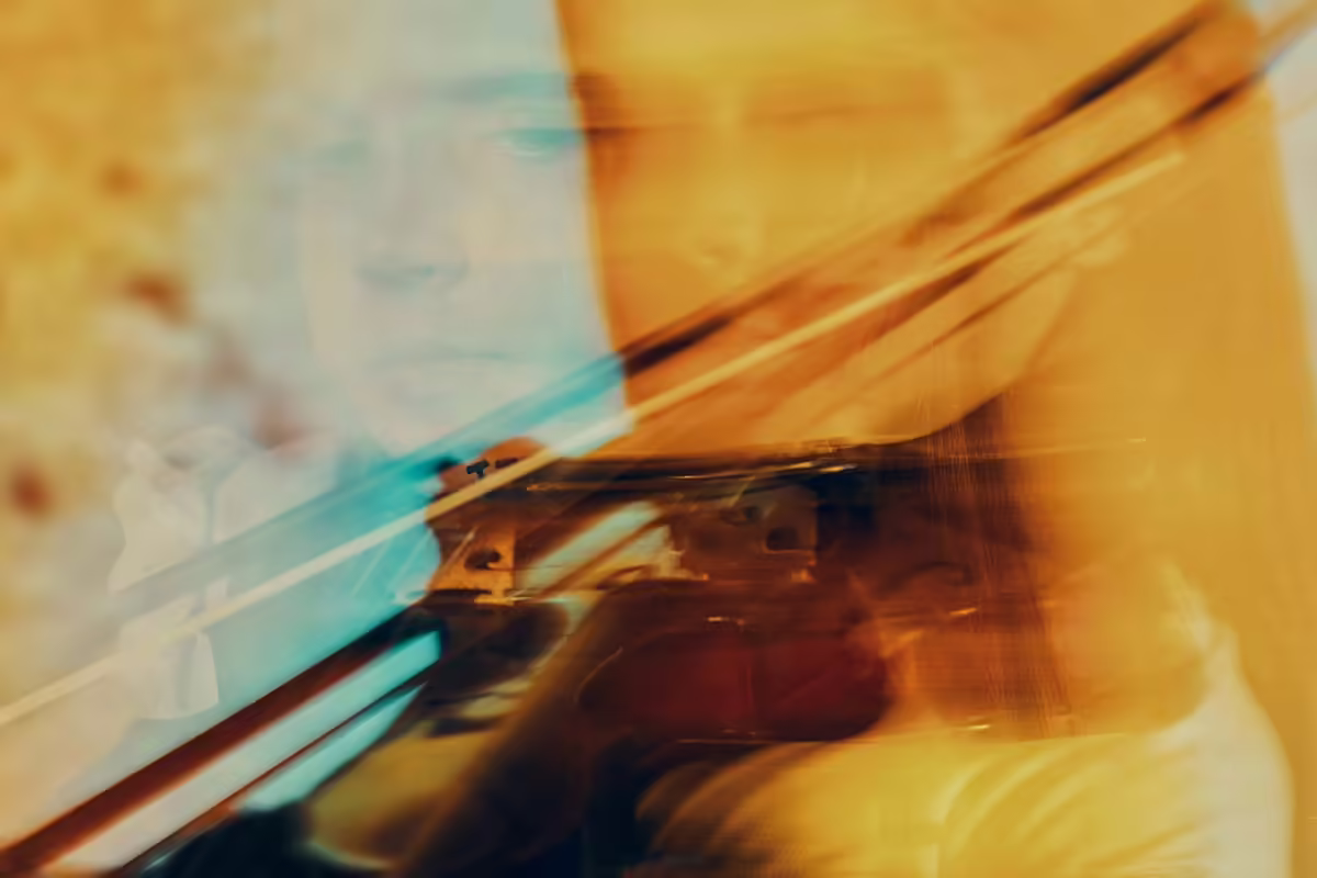 music-violin Violin lessons in Franklin TN